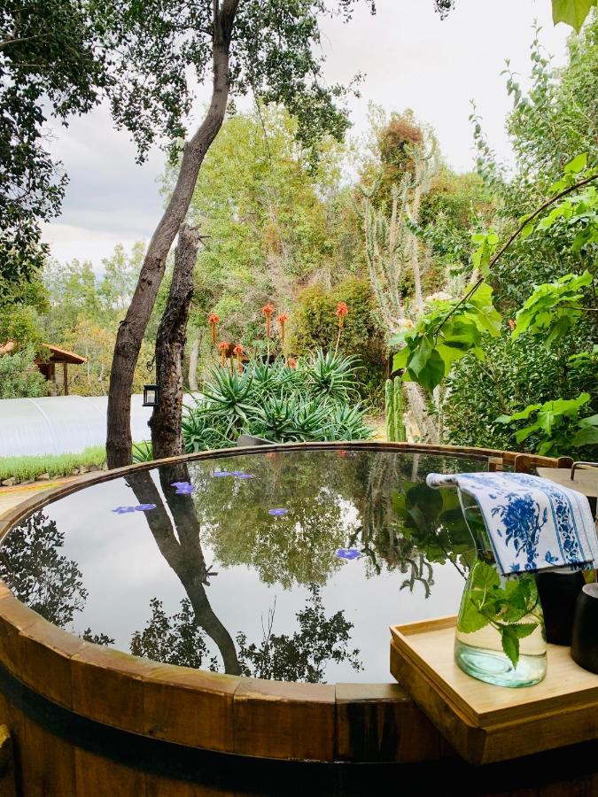 Kuralemu Casa De Campo Curacavi Dış mekan fotoğraf