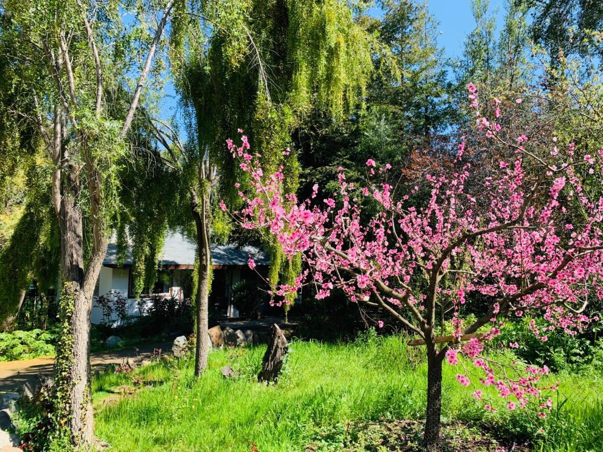 Kuralemu Casa De Campo Curacavi Dış mekan fotoğraf