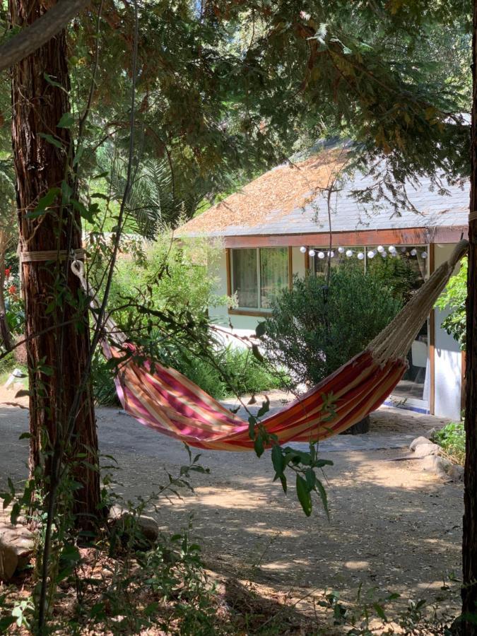 Kuralemu Casa De Campo Curacavi Dış mekan fotoğraf